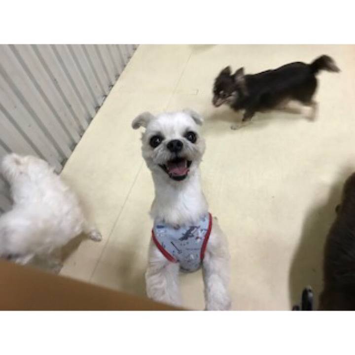 58c34259 ac84 433a adfe e47d7cdf98bb 1552654877485