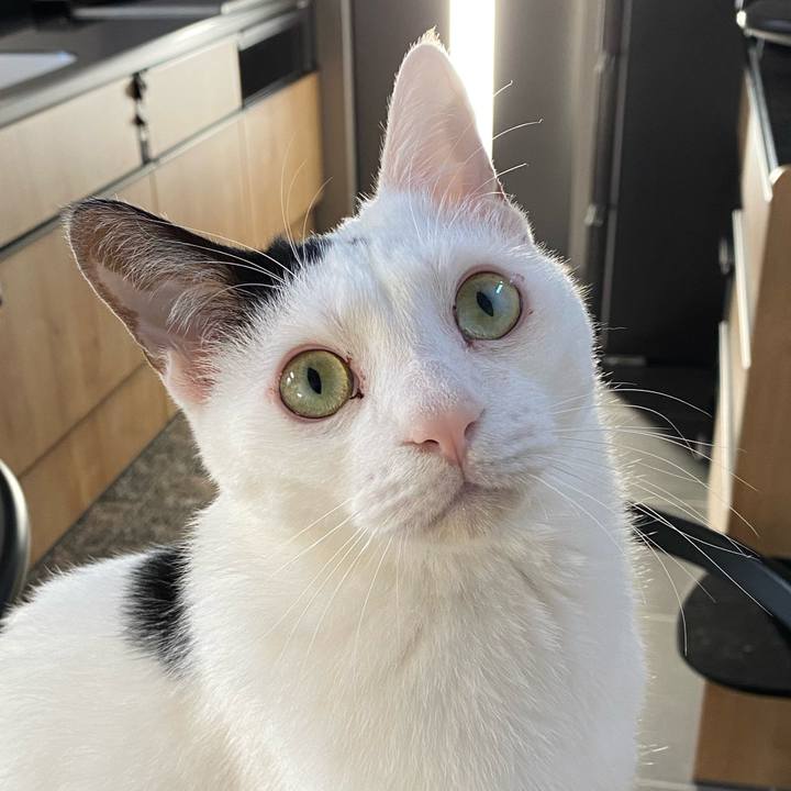 58c376dd 929a 429e b2e1 2247123b7b72 1733107266237