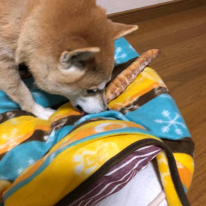 58c37d88 f7db 4936 aa37 dd5f52a6aebc 1576299873039