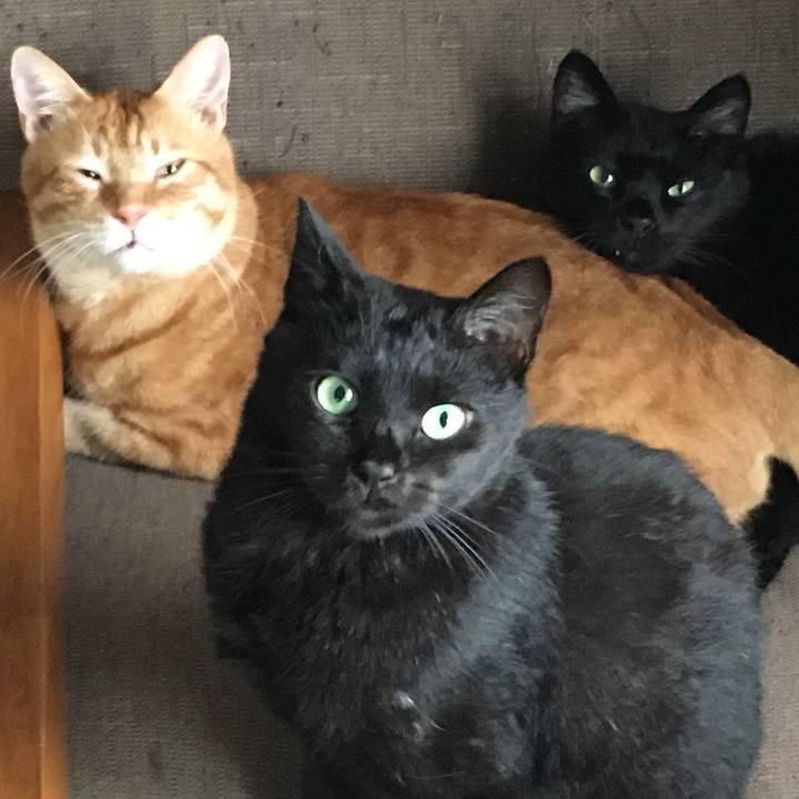 58c3a816 8dbb 404b 9946 521c61a2e151 1534233294918