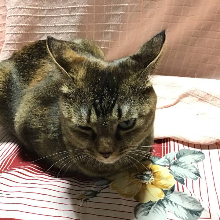 58c3dfae e6dd 4bb8 9879 34da933b5f79 1670419227913