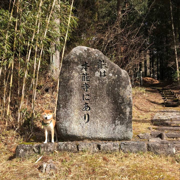 58c3e2b1 1574 48f1 95f1 2f1f8b919e58 1550651631951