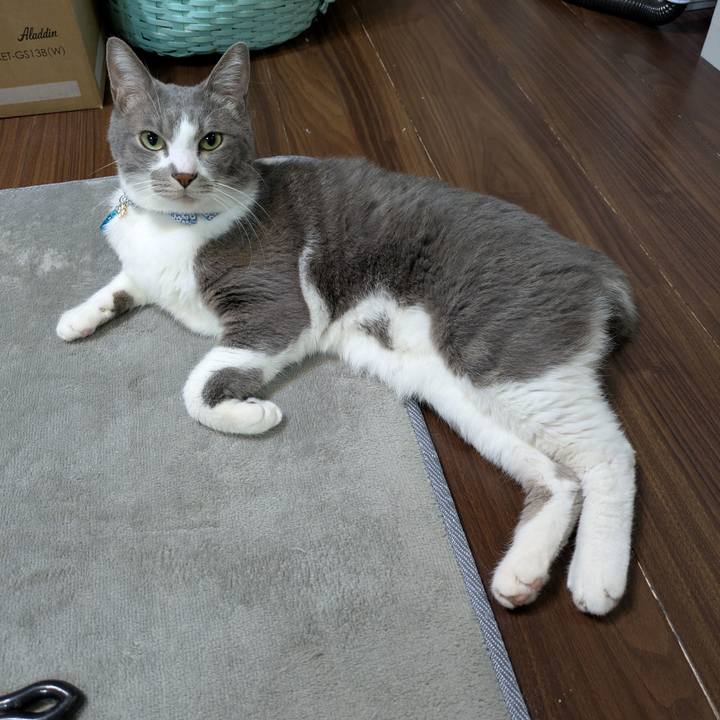 58c4235c dd26 4735 adff aed65daa56ec 1734777222642