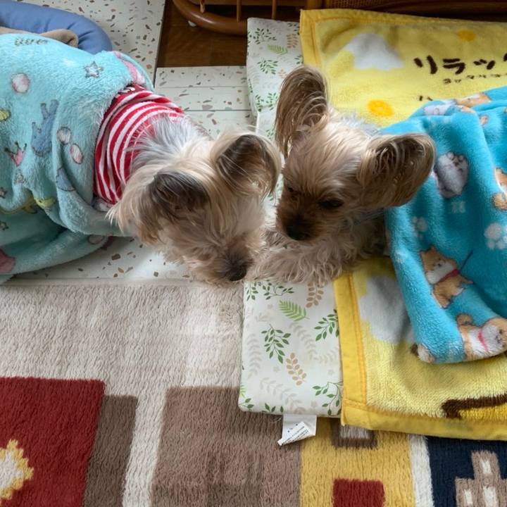 58c42e29 04f1 40f6 a9ab 4d3fee511622 1674727066812