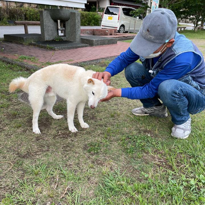 58c461b0 301c 4d70 a539 e3caac443be2 1653996391597