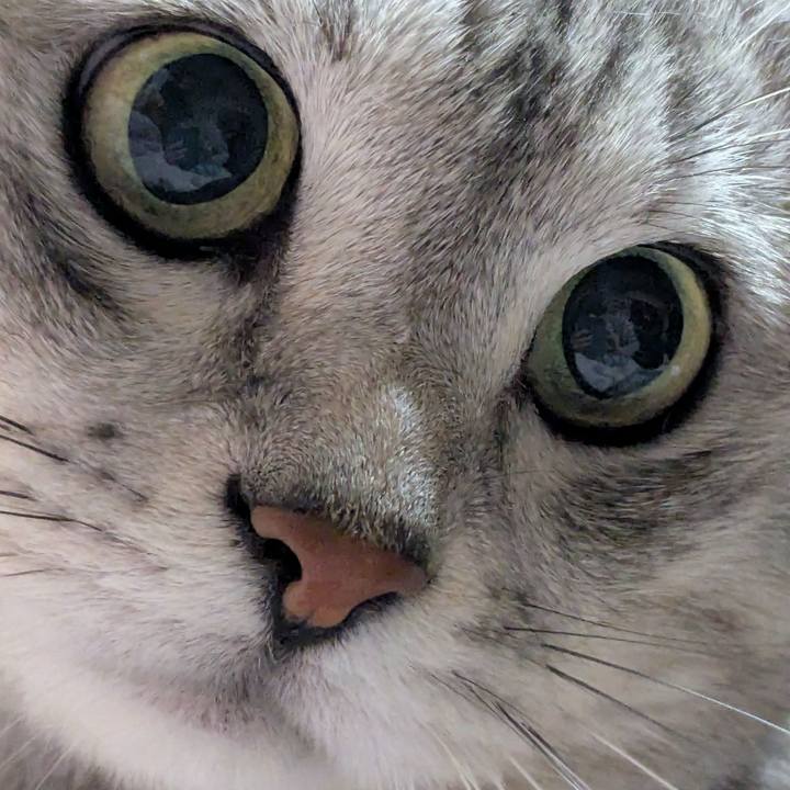 58c46515 c00c 445b 86b3 5abd2c2f2b1b 1757604368144