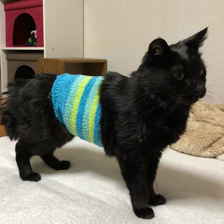 58c48625 99ad 4a80 b500 4dc5714c0148 1611330075861