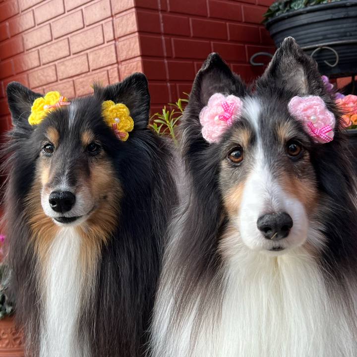 58c48781 fe32 4ccd be6c 62e0260ccf4b 1709061900341