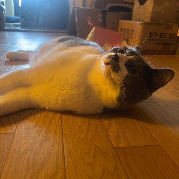 58c501ff 76af 40b1 a6b1 6f4d76c18238 1755302371202