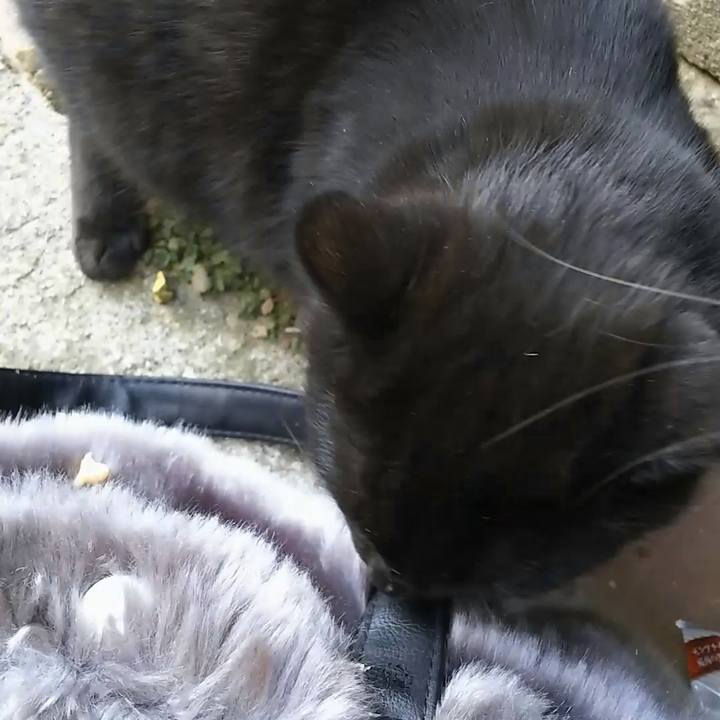 58c52e93 703a 416f 88a7 8345dd264c8b 1549444728748