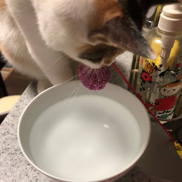 58c5671d eb91 4dfd b178 c426b49546d1 1568379935895