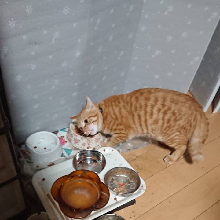 58c568e6 a23c 4b70 a42c 8d9bf6f9045f 1638046521442