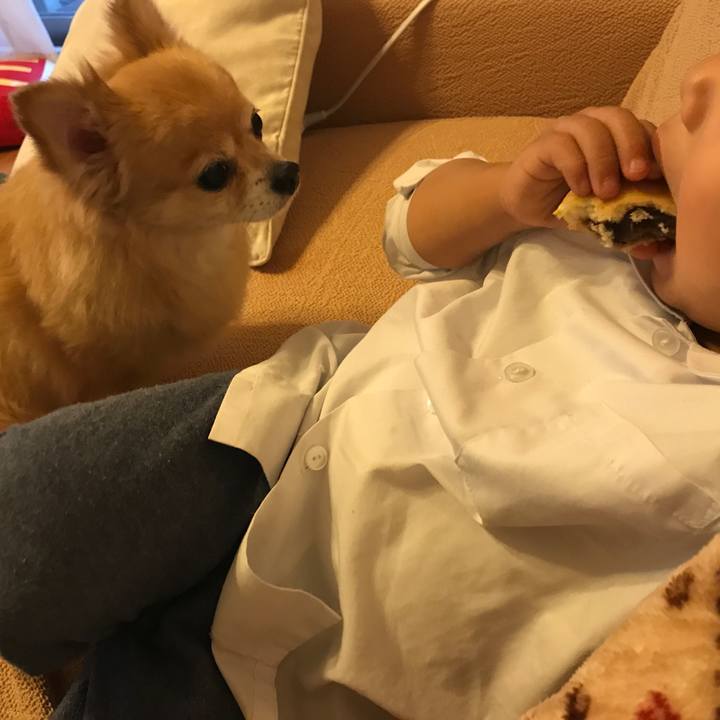 58c594a7 a61f 4a39 a591 8883e30f72b4 1511334872661