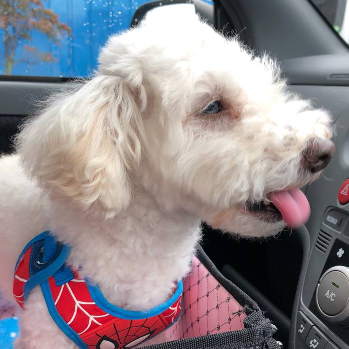 58c59c0e aa9f 4568 908b ad915df5336c 1539598968766