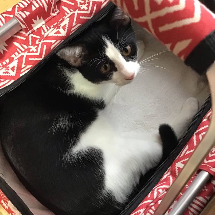 58c5bcb4 0f2d 45fa a142 af57141cc49e 1631683460745