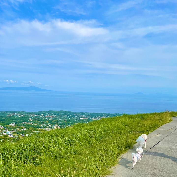 58c5fefe b06d 47bb 9715 9d06240ceb3e 1623570529995