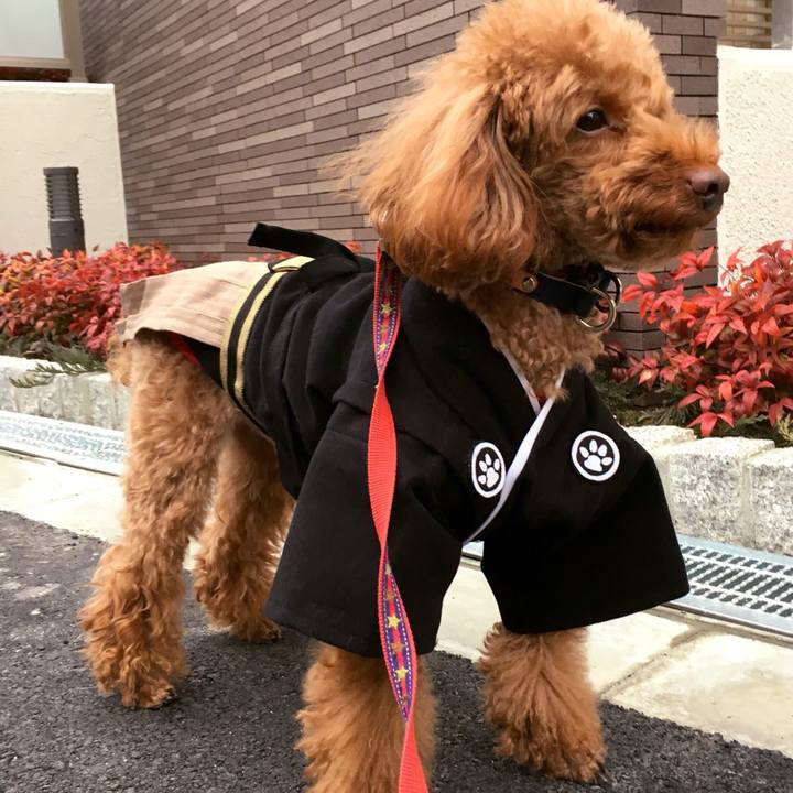 58c60dc0 c1cd 4827 8efa 8387df878e87 1546387760205