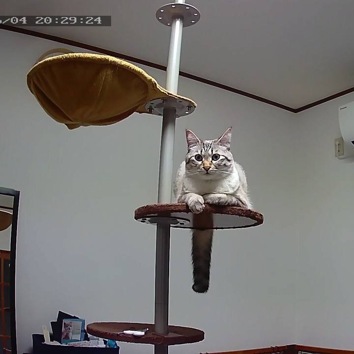 58c60e93 bdf8 4b66 99c9 a9adefe96118 1559647825434