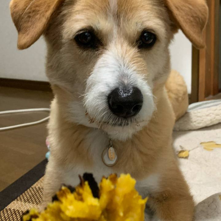 58c61c36 7933 428e ab24 8258a8b64169 1587863010609