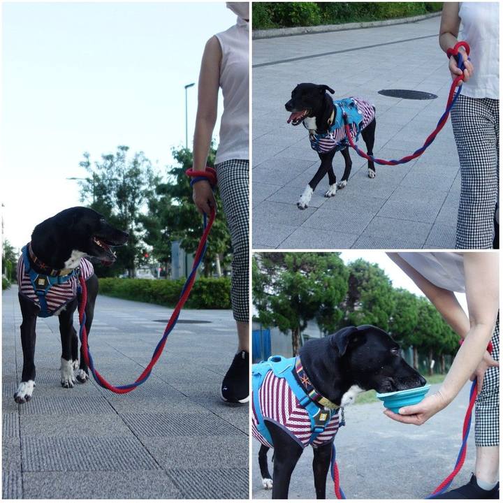 58c61cf8 dc51 46af 994b 28c3f1451b52 1626696685569