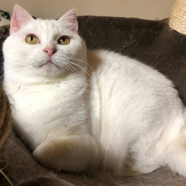 58c6353c c8d7 4514 9864 a4b63a74b6d7 1560224481888