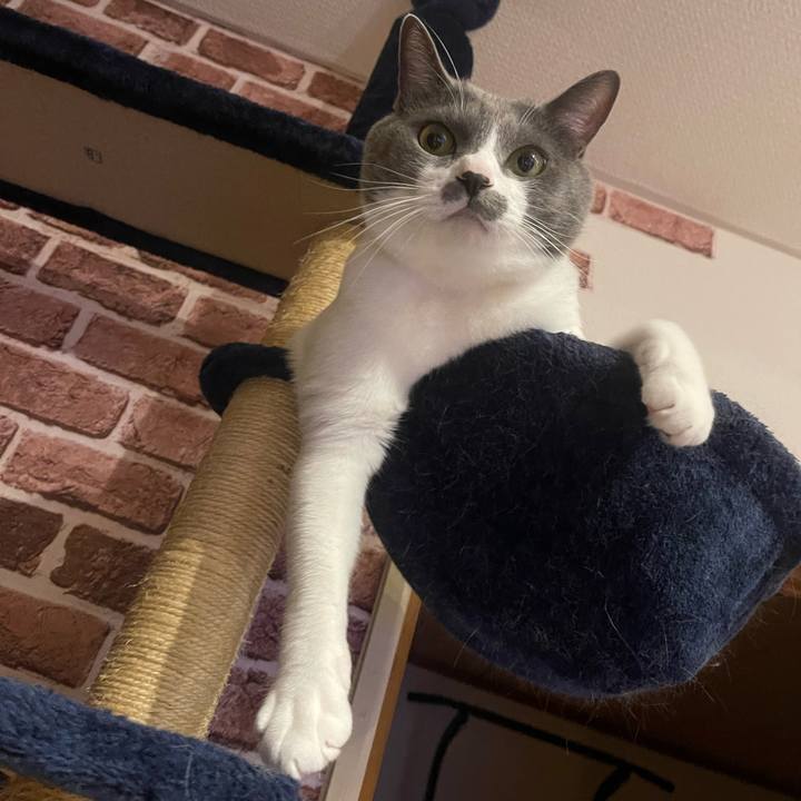 58c6608a d3ea 414d 8d6e 24a84dade20a 1666341176223