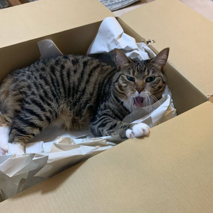 58c661c7 e979 4d20 8eae 8ad4d6d65b13 1616941704909