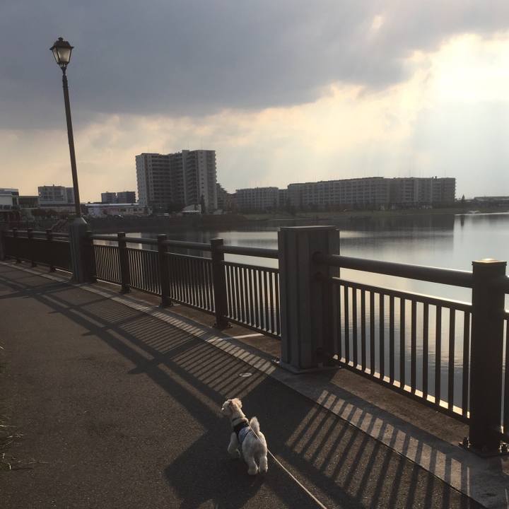 58c69eac bb23 4156 a304 e32cc1c72b29 1509784772644