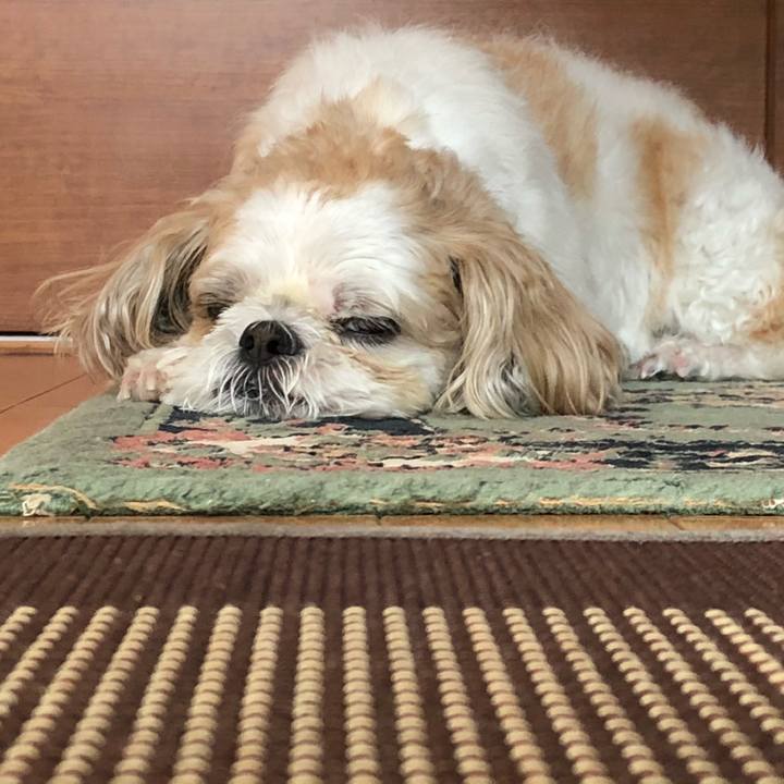 58c6b0ac 6144 467c 9d82 5efde386078f 1532295272002