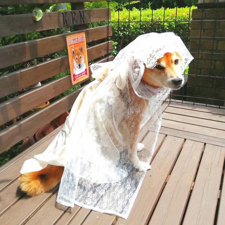 58c71792 e341 4d23 bdf1 b64e14d64a71 1687255268325