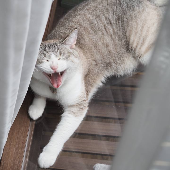 58c71bd3 8415 4290 8b76 af0a6ddab336 1598077351312