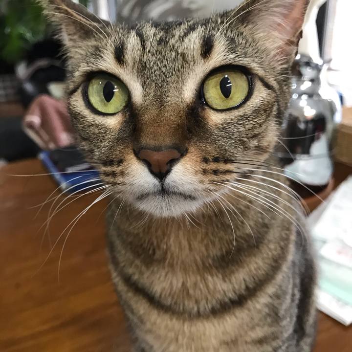 58c72ffb ebff 4b94 b02d 2fee54de423b 1582024879922