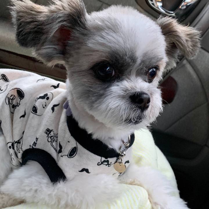 58c73941 b955 45f4 b431 55b2e5b10842 1560590294939