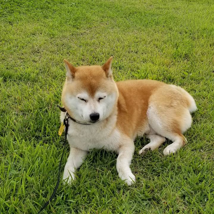 58c73b73 89d9 444d adf8 abc15caa58bb 1593674761861