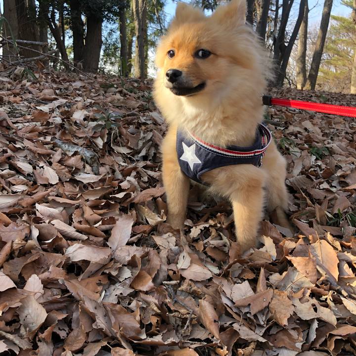 58c74794 aa54 43af 817d 996f1f7eeae9 1581314648409