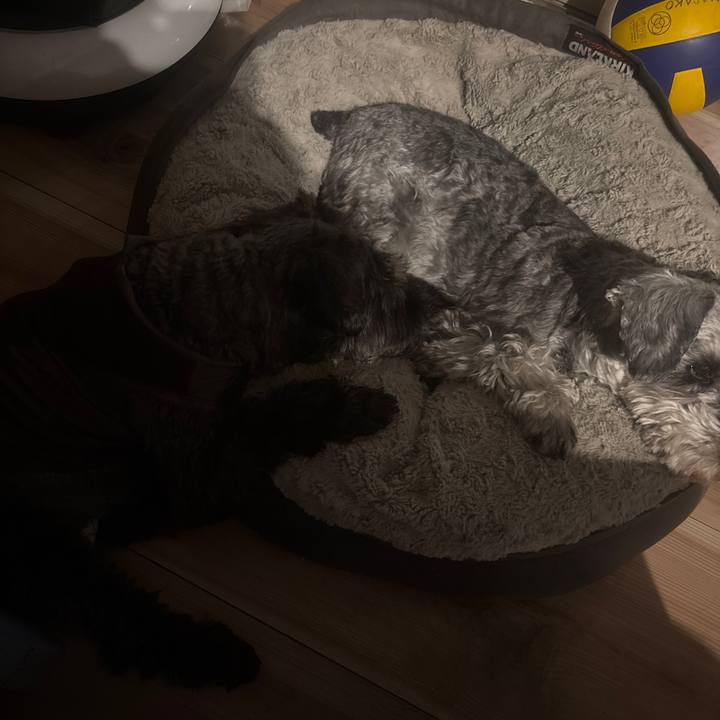 58c747b1 1e9d 465a b19f ab07d8bd78d7 1739014129951