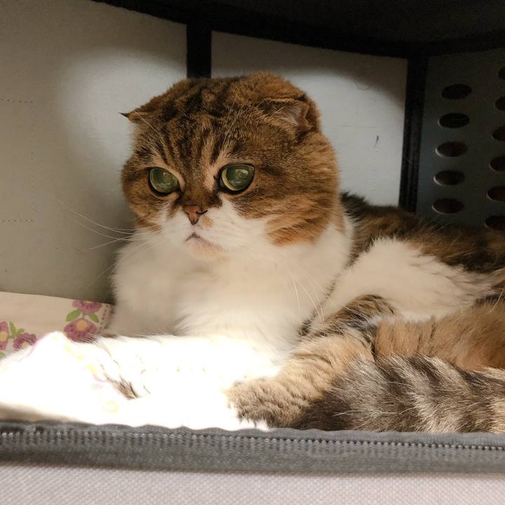 58c75e43 f048 4bf0 861b c1d37929eedc 1596609563037