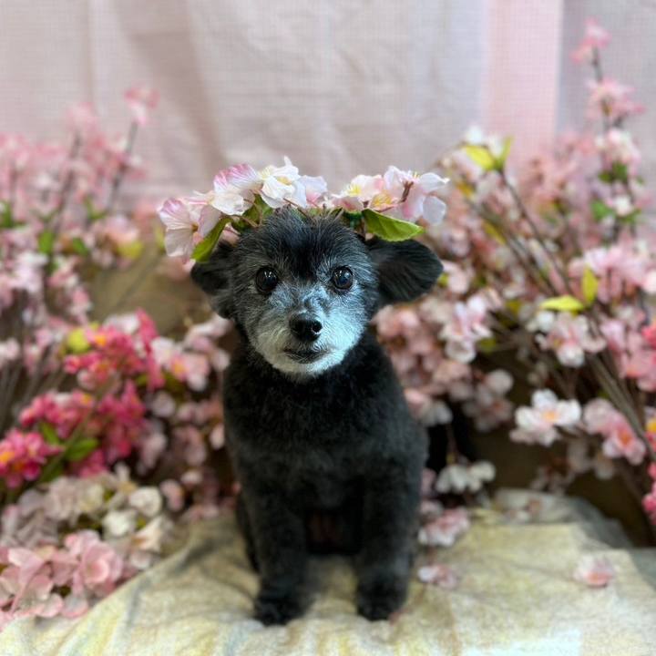 58c79791 732c 44de af78 11959543da79 1740298483138