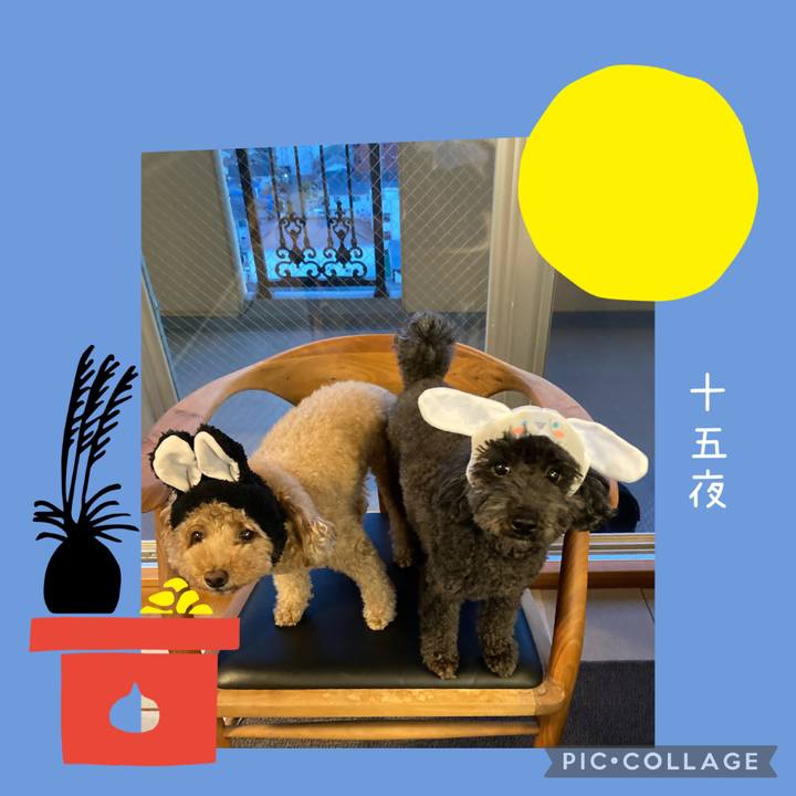 58c7c2ca 3037 4f2f 99bd 7a4fcc72abc3 1632216340369