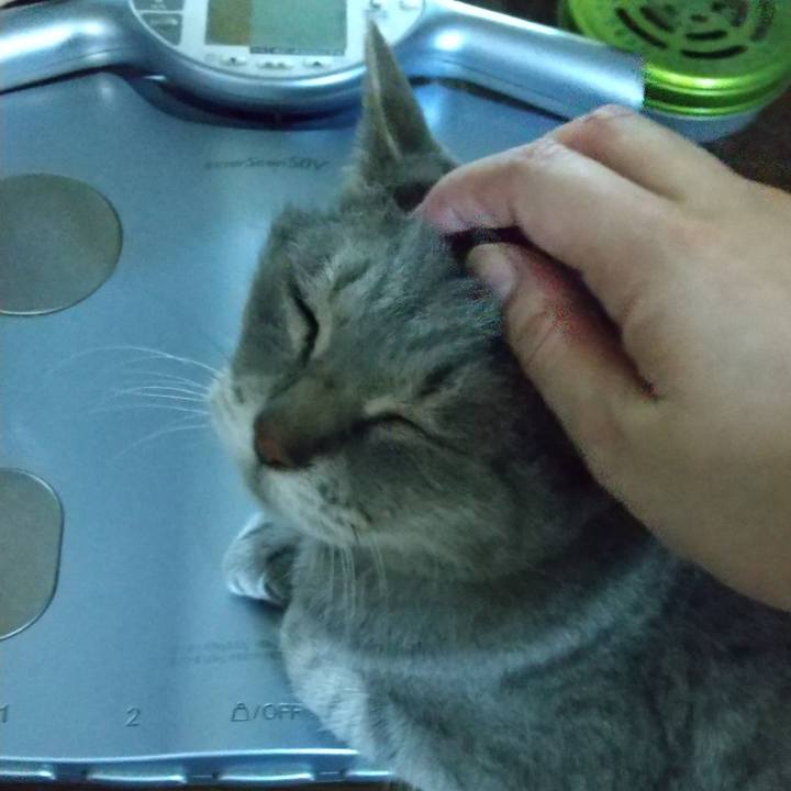 58c7e07c 8bb3 4c26 81c9 4db3811d2387 1624096694719