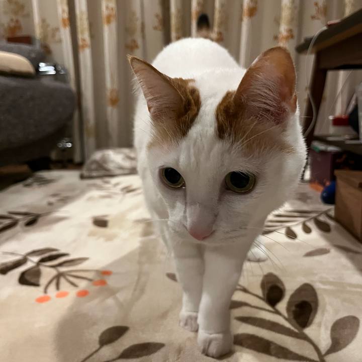 58c82f7e 6293 40a5 adbb 348556656146 1766069480985