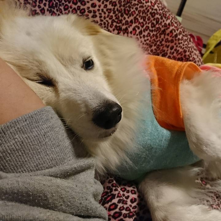 58c86c59 9781 47ec 90e3 f7e21e2cba10 1509362325739