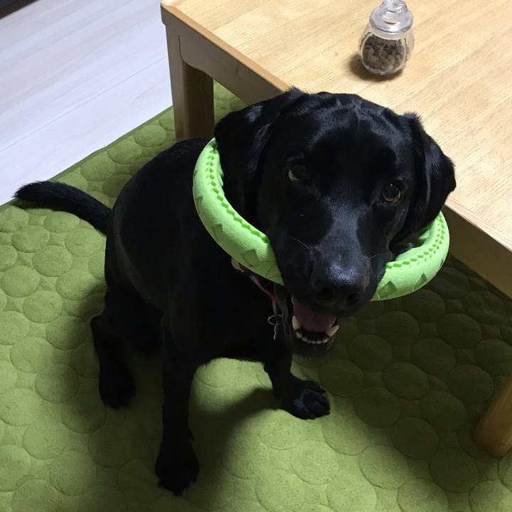 58c90447 dbf6 496e 936b cdb8ead68e29 1541066571725