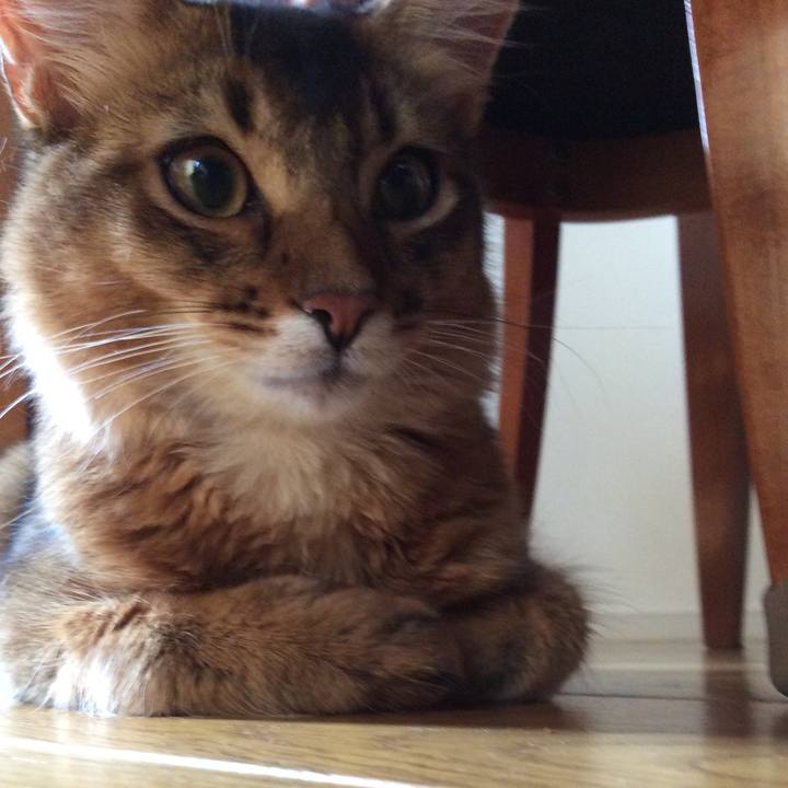 58c9390d d7f8 41c4 9083 df72030cc33d 1564634707125