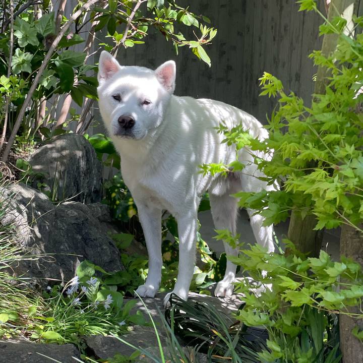 58c94d5d 9fef 4b96 9bae 350e25ed7d0a 1680932661729