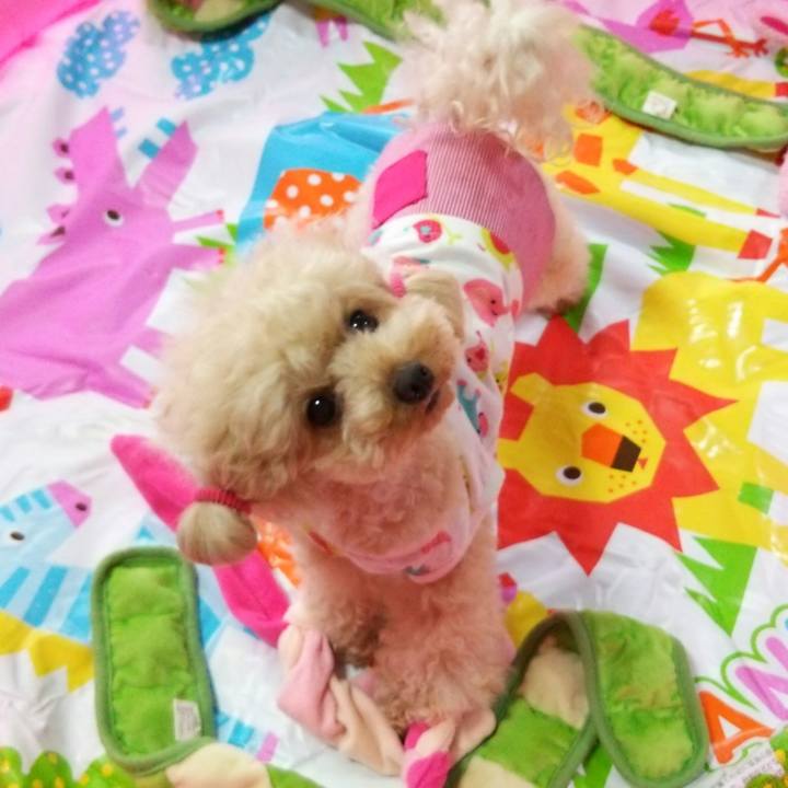 58c97a8a e3a1 4817 b921 1ab9a920c10e 1530703488541