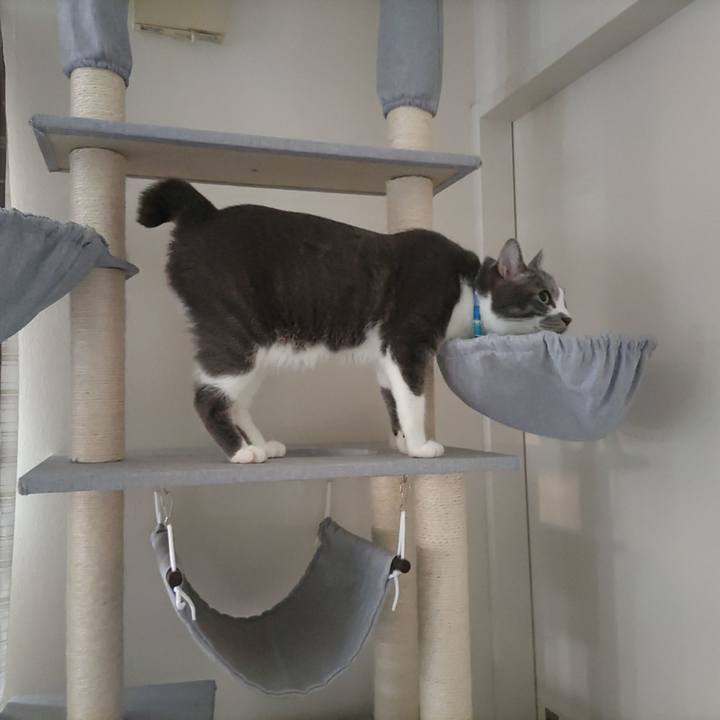 58c9871b dea4 4f50 9860 6908f420e249 1656884400107