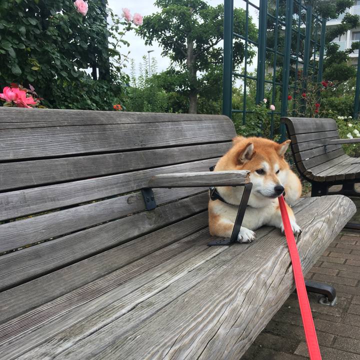 58c9bf8b 140f 42d8 9aaa 9be1b2d8c0fb 1595996840744