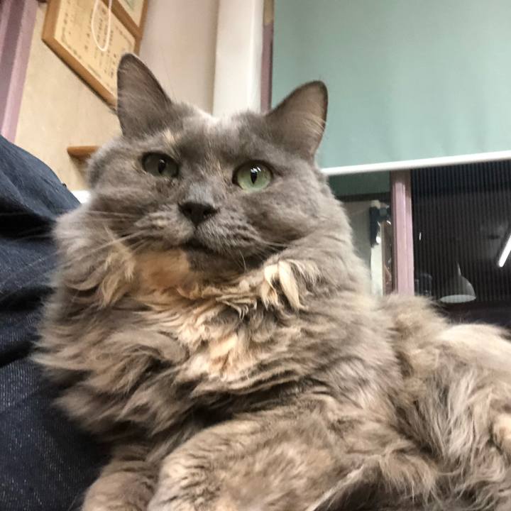 58c9dddc ae1a 4f45 9a29 a38e29ecf03f 1564795647564