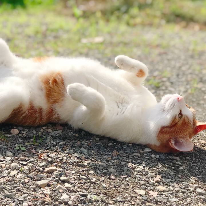 58ca0171 3f7d 4914 a935 6e9c0a631f2e 1509688665634